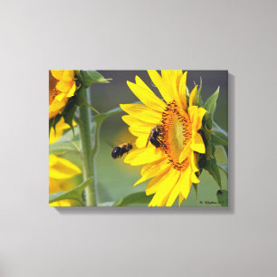 Girasol e impresión de la lona de las abejas