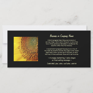 Girasol fresco y dorado