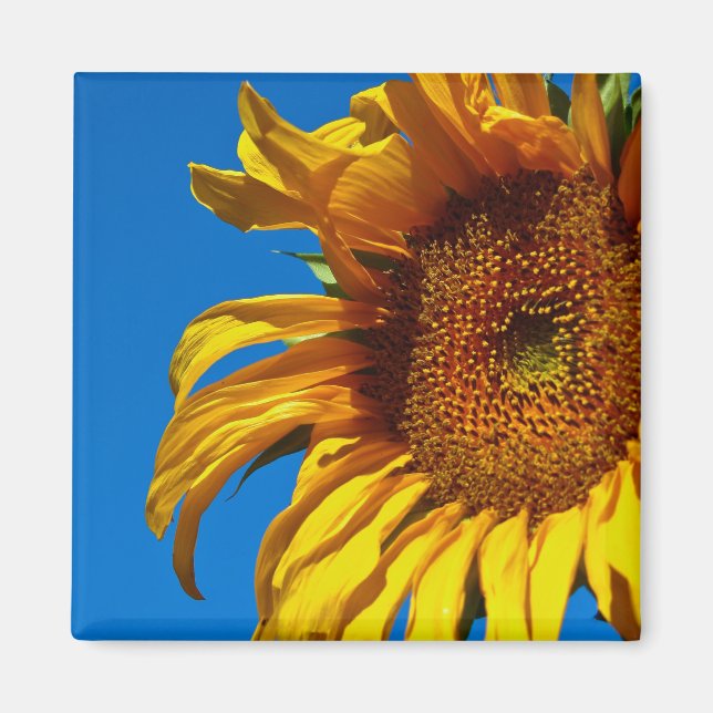Girasol - imán (Frente)