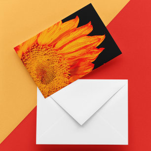 Girasol Naranja Fuego Blanco Por Dentro 