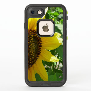 Girasol oblicuo