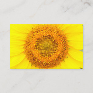 Girasol Oceanía, 3,54" x 2,165" tarjeta de visita