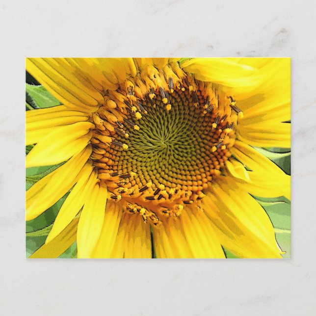 Girasol, postal (Anverso)