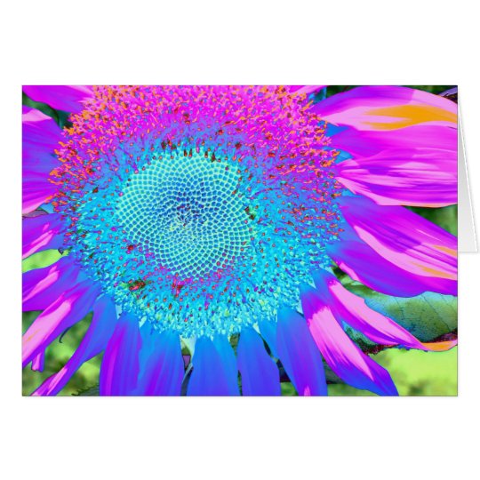 Girasol púrpura rosado azul tarjeta