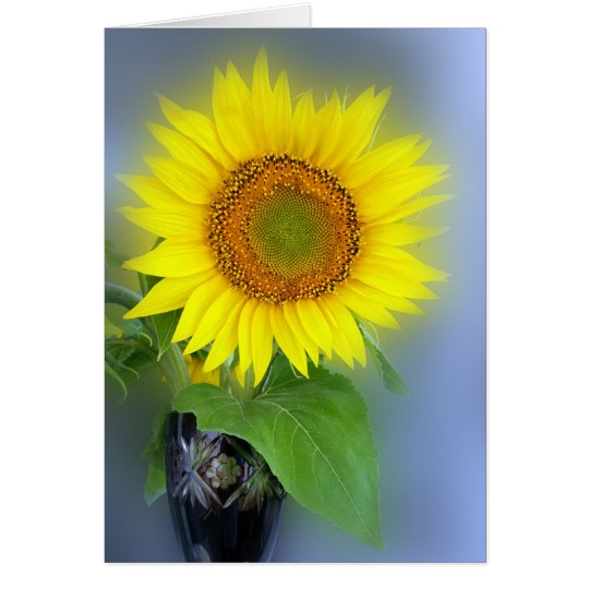 girasol que brilla intensamente tarjeta de felicitación