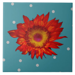 Girasol rojo brillante en la baldosa cerámica azu