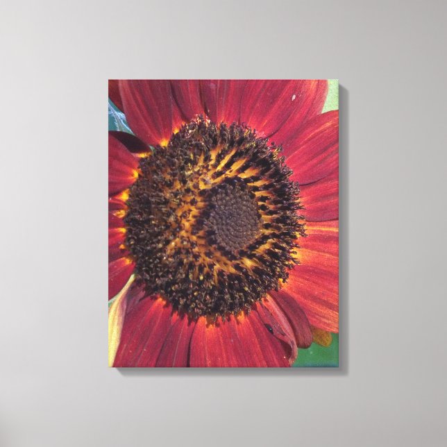 Girasol rojo Impresión en lienzo envuelto (Anverso)