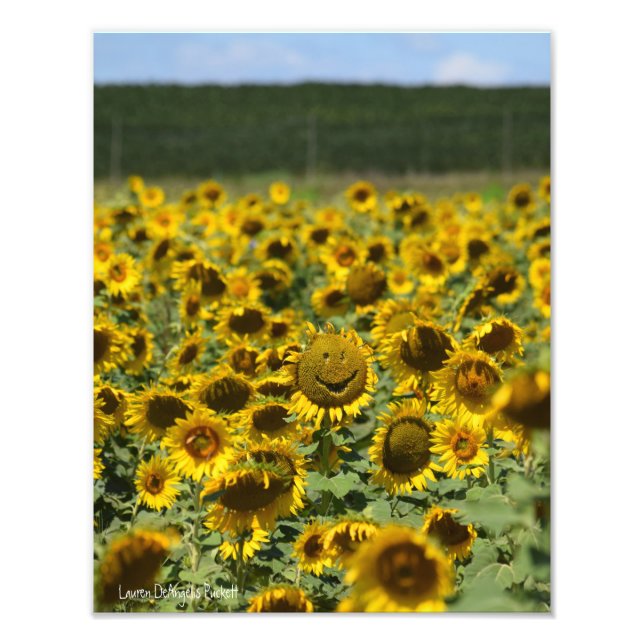 Girasol sonriente - Impresión fotográfica 11x14 (Frente)