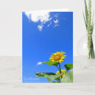 Girasol: Tarjeta de saludo