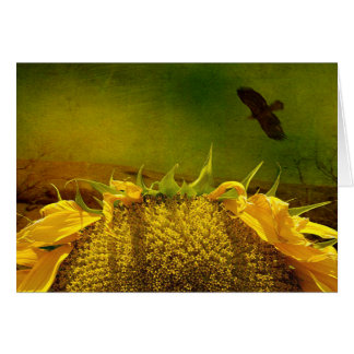 Girasol y ave