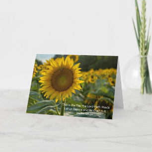 Girasoles