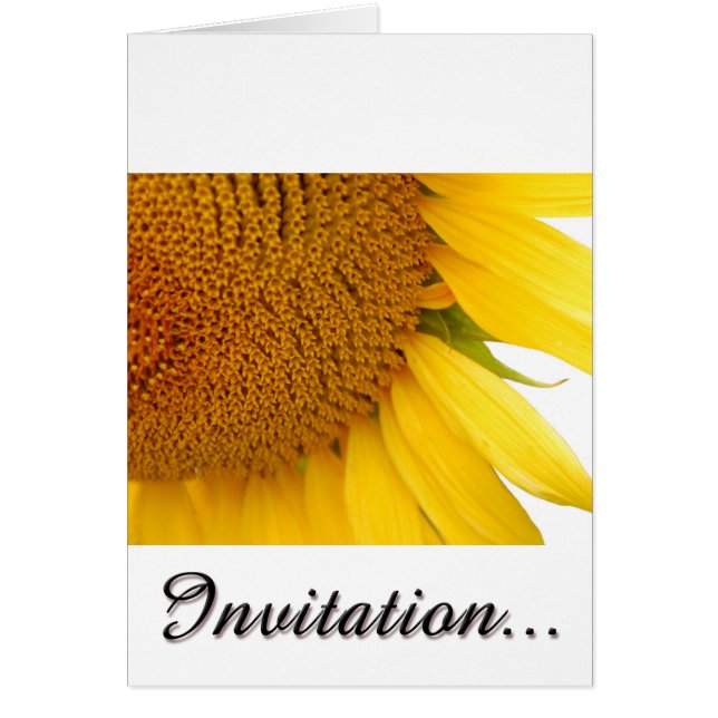 Girasoles (Frente)