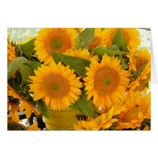 Girasoles