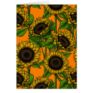 Girasoles