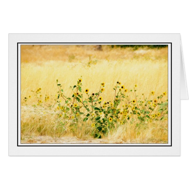 Girasoles (Anverso (Horizontal))