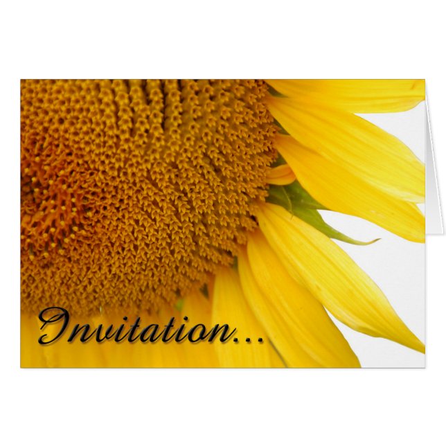 Girasoles (Anverso (Horizontal))