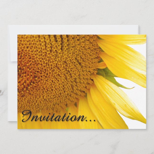 Girasoles (Anverso)