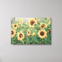 Girasoles Amarillo Floral Arte Textura Vintage