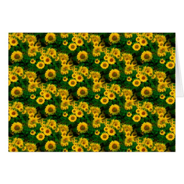 girasoles amarillos (Anverso (Horizontal))