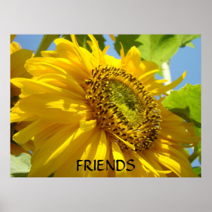 Girasoles Arte Impreso Flores de Girasol Cuadros E