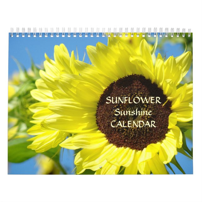 GIRASOLES CALENDARIO DE SOL FLORES (Tapa)
