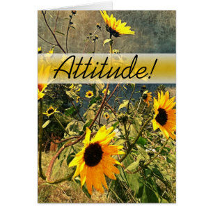 Girasoles de aliento antes de las nubes de torment
