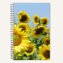 girasoles de cuadernos espirales