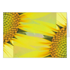 Girasoles de primavera