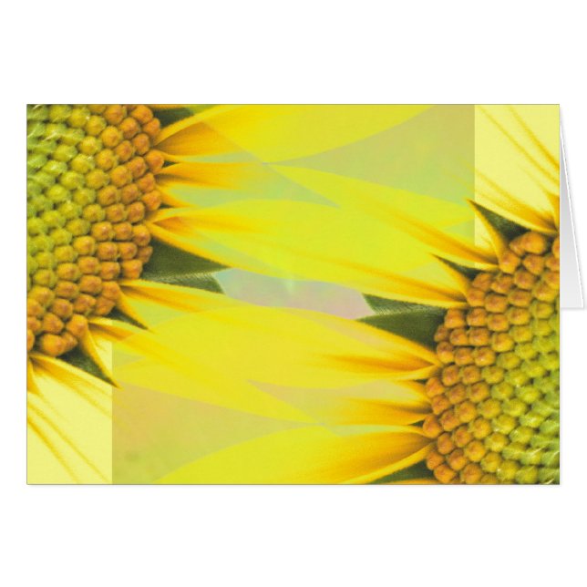 Girasoles de primavera (Anverso (Horizontal))