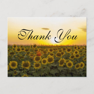 girasoles de sol Gracias tarjeta