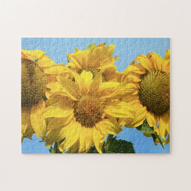 Girasoles del rompecabezas (Horizontal)