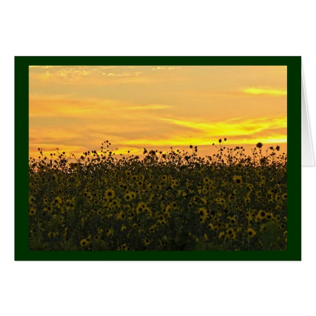 Girasoles en la oscuridad (Anverso (Horizontal))