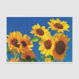 Girasoles En Papel De Tejido En Bloom