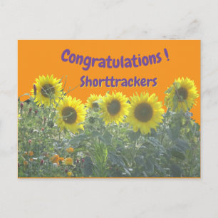 Girasoles Felicitaciones Texto Tarjeta Postal Pers