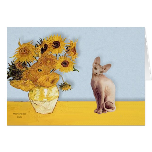 Girasoles - gato Sphyx crema (Anverso (Horizontal))