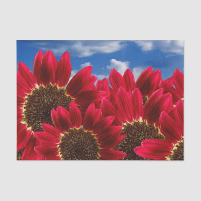 Girasoles rojos y cielos azules - Papel de tejidos (Anverso)