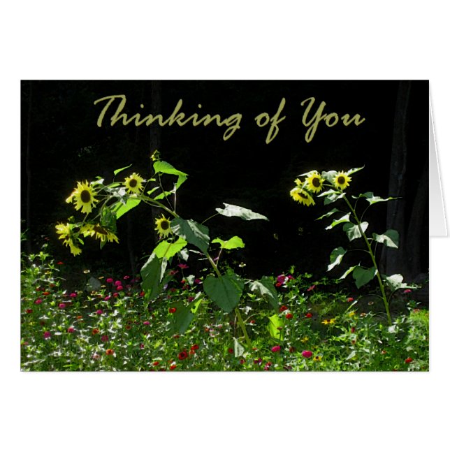 Girasoles y Wildflowers (Anverso (Horizontal))