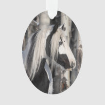 Gitano en el ornamento de los silvestres hoofbeats