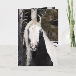 Gitano mira hacia fuera - Tarjeta de saludo