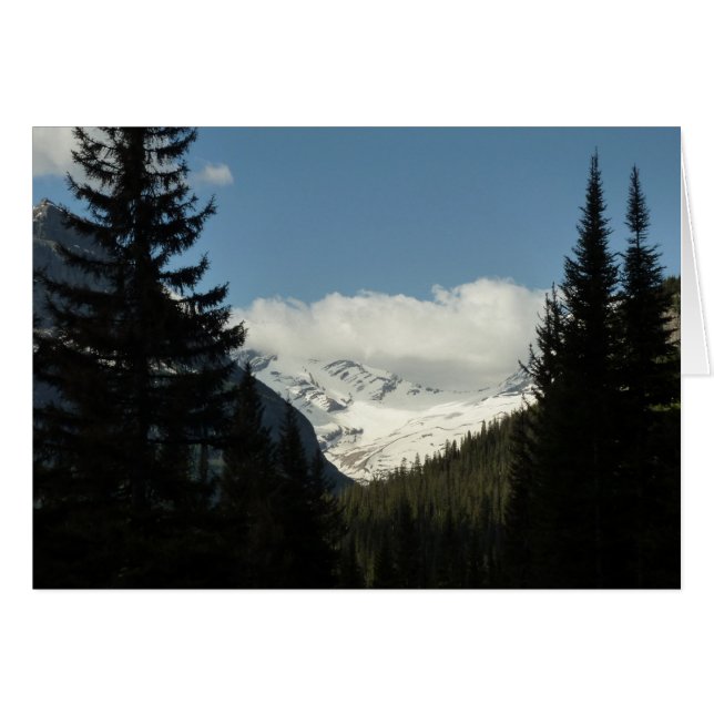 Glaciar Jackson con vista al parque nacional de lo (Anverso (Horizontal))