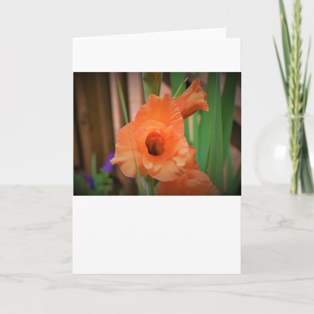 Gladioli, tarjeta (Anverso)