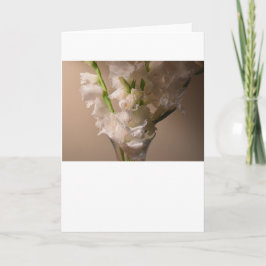 Gladioli, tarjeta