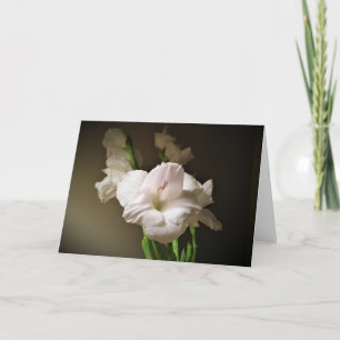 Gladioli, tarjeta