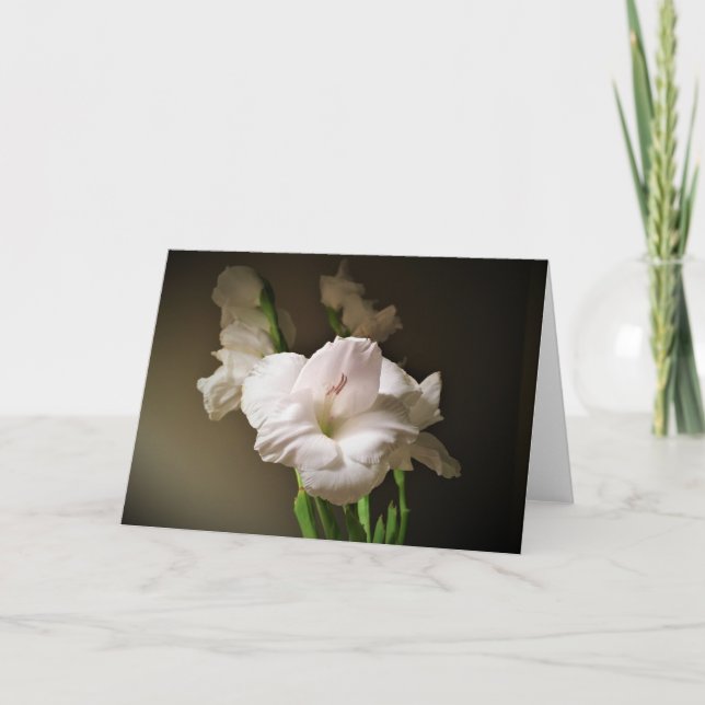 Gladioli, tarjeta (Anverso)