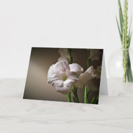 Gladioli, tarjeta