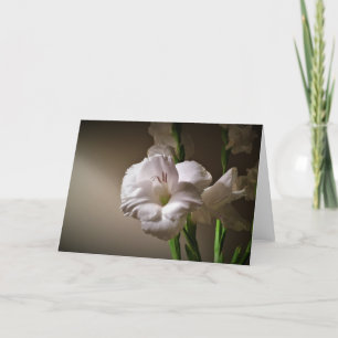 Gladioli, tarjeta