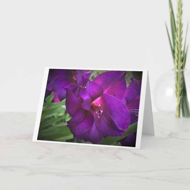 Gladioli, tarjeta (Anverso)