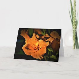 Gladioli, tarjeta