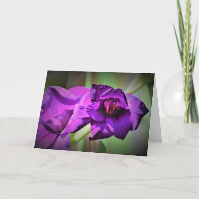 Gladioli, tarjeta (Anverso)