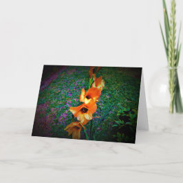 Gladioli, tarjeta